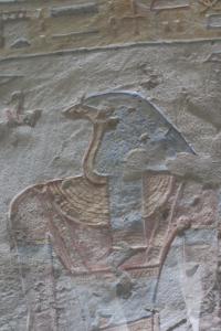 ARCE/VOQ.01734.jpg