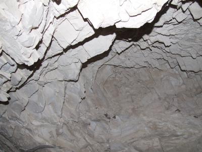 GCI/VOQ.00295.jpg