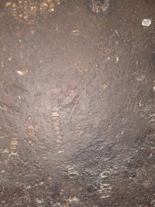 GCI/VOQ.00760.jpg
