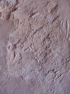 GCI/VOQ.00967.jpg