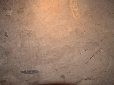 GCI/VOQ.01115.jpg