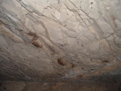 GCI/VOQ.01137.jpg