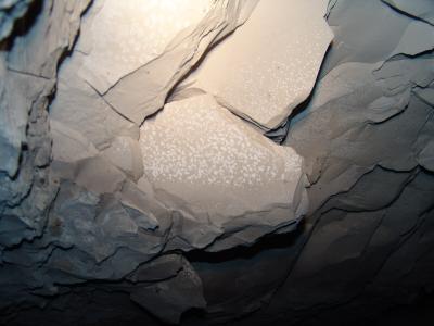 GCI/VOQ.01149.jpg