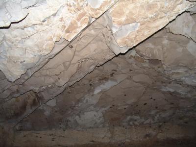 GCI/VOQ.01156.jpg