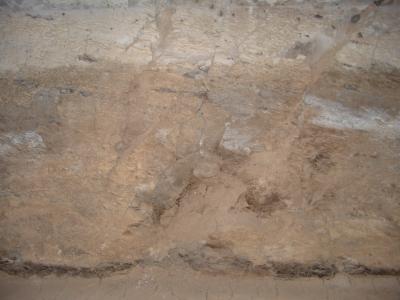 GCI/VOQ.01161.jpg