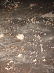 GCI/VOQ.01348.jpg