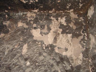 GCI/VOQ.01350.jpg