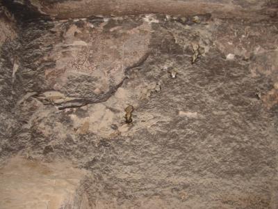 GCI/VOQ.01427.jpg