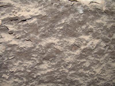 GCI/VOQ.01432.jpg