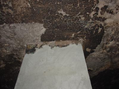 GCI/VOQ.01743.jpg