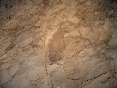 GCI/VOQ.01765.jpg