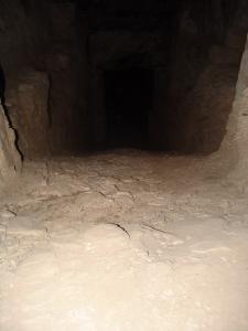 GCI/VOQ.01774.jpg