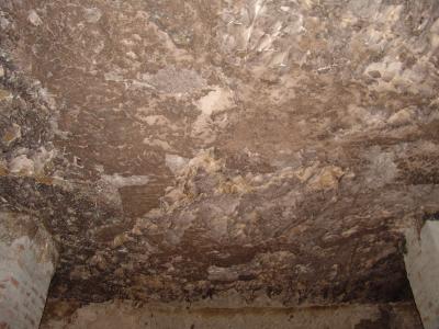GCI/VOQ.01797.jpg