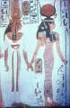17576.jpg