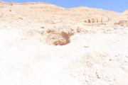 ARCE/VOQ.00101.jpg