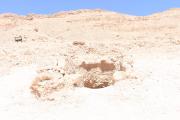 ARCE/VOQ.00115.jpg