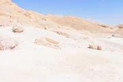 ARCE/VOQ.01072.jpg