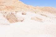 ARCE/VOQ.01074.jpg
