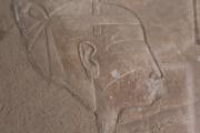 ARCE/VOQ.01379.jpg