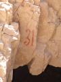 GCI/VOQ.00525.jpg