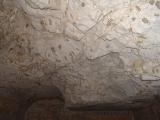 GCI/VOQ.01209.jpg