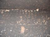 GCI/VOQ.01388.jpg