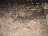 GCI/VOQ.01406.jpg