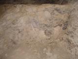 GCI/VOQ.01444.jpg