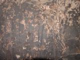 GCI/VOQ.01446.jpg