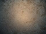 GCI/VOQ.01767.jpg